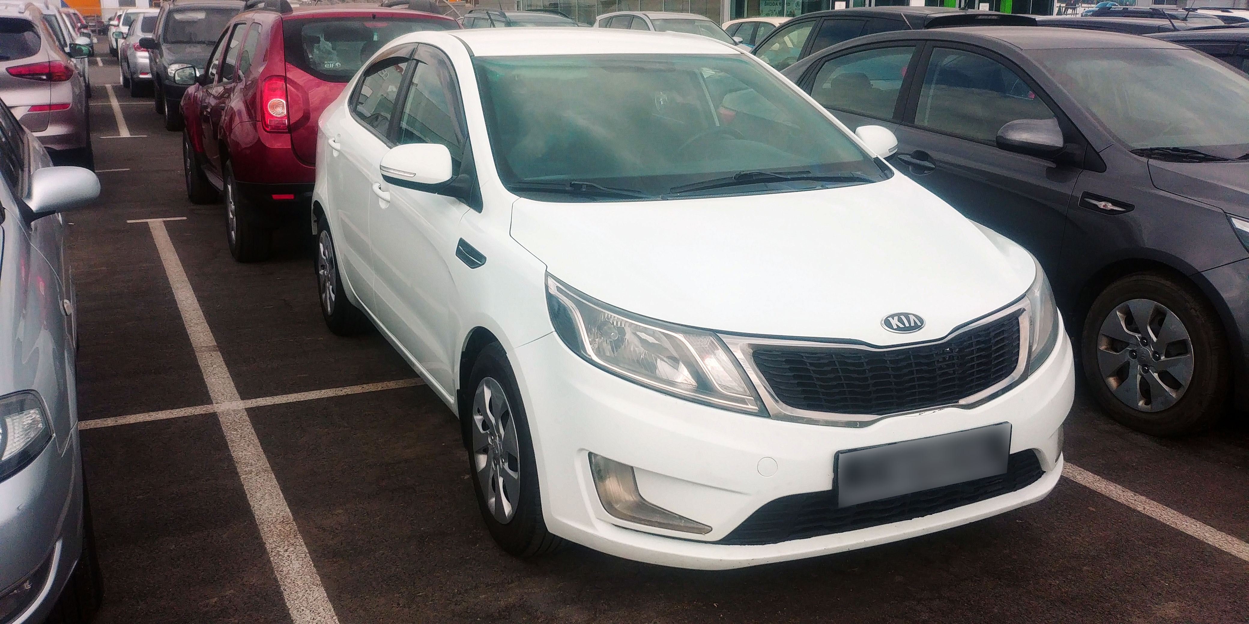 KIA Rio